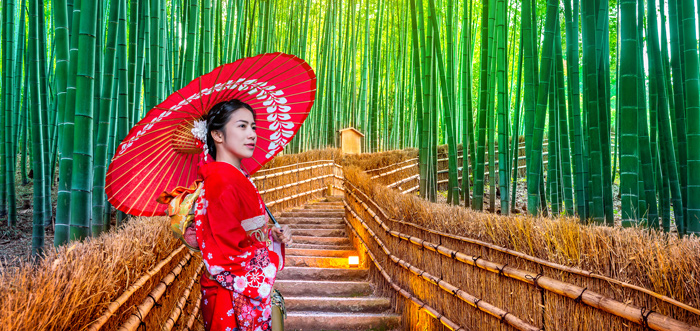 Bamboo Forest, Kyoto, Japan